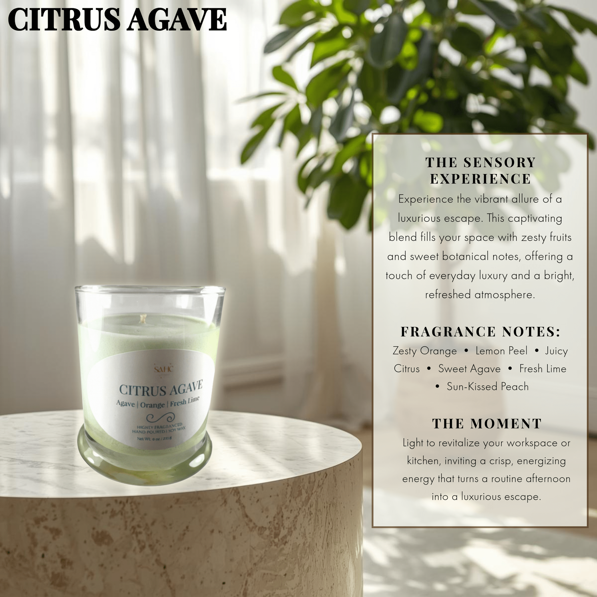 Citrus Agave | Hand-Poured Candle