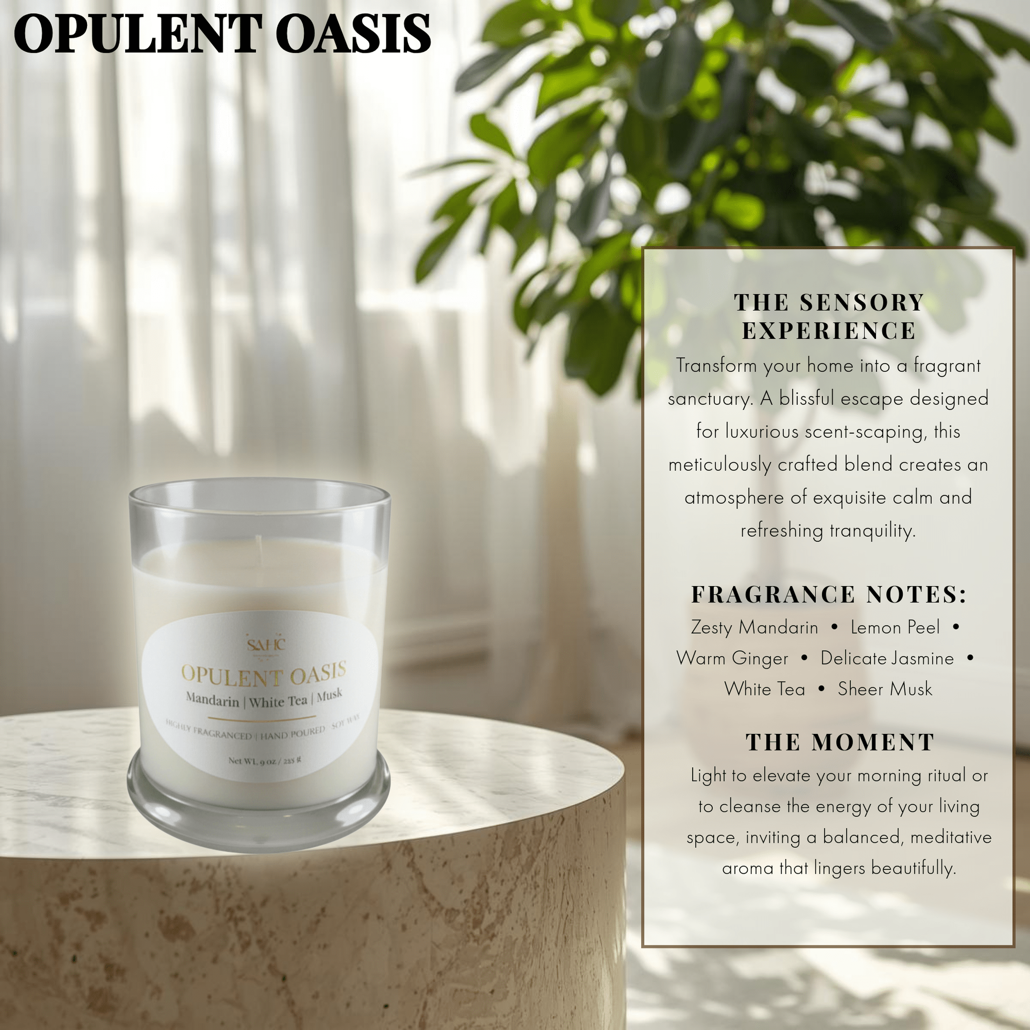 Opulent Oasis | Hand-Poured Candle