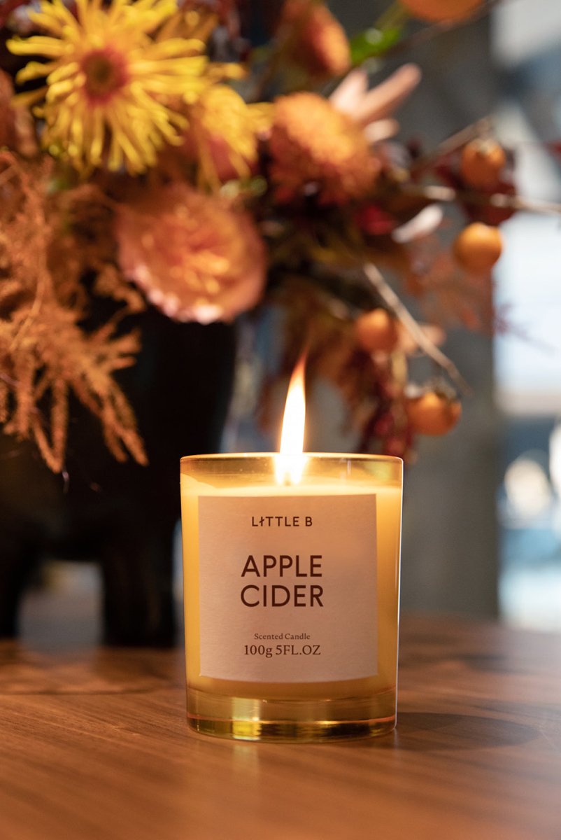 Apple Cider 100g Scented Candle