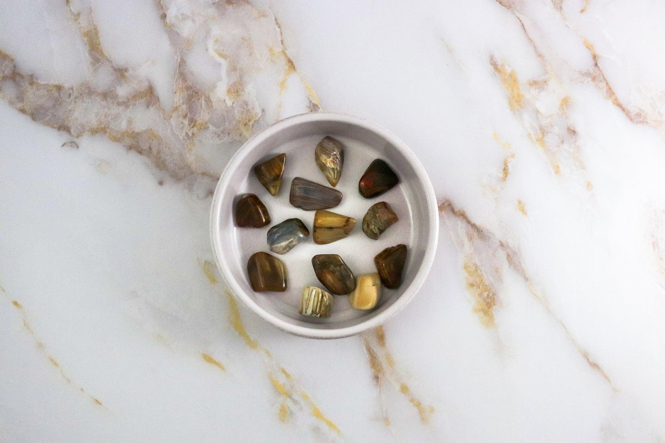 Tumbled stone in Petrified wood