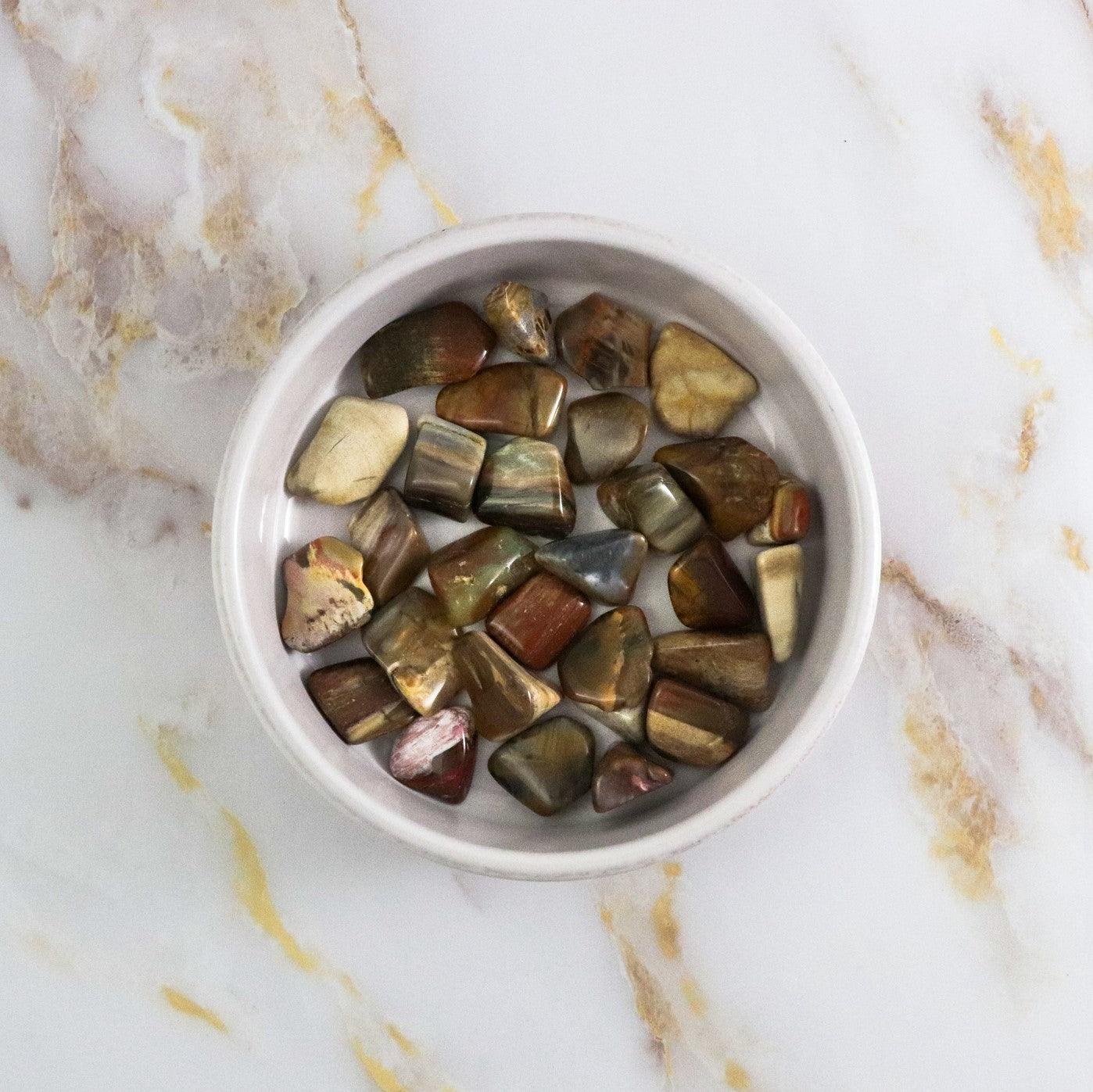 Tumbled stone in Petrified wood